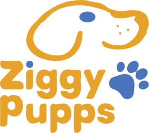 Ziggy Pupps